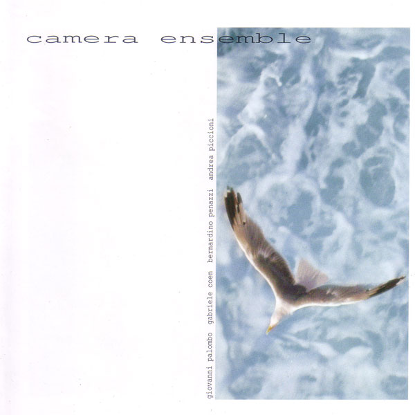 Camera Ensemble - Camera Ensemble