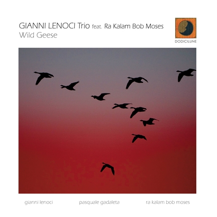 Gianni Lenoci Trio feat. Ra Kalam Bob Moses - Wild Geese
